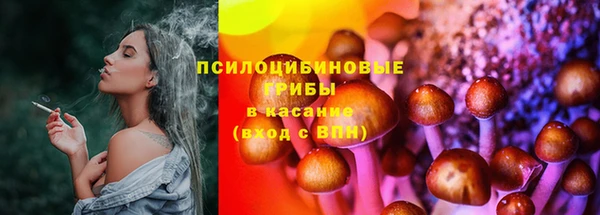 ECSTASY Алзамай