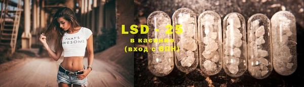 ECSTASY Алзамай