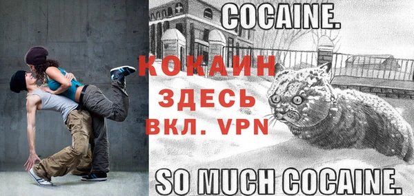 ECSTASY Алзамай