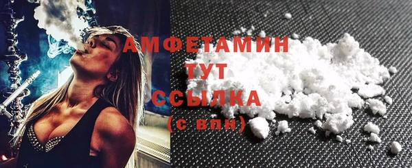 ECSTASY Алзамай