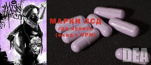 ECSTASY Алзамай