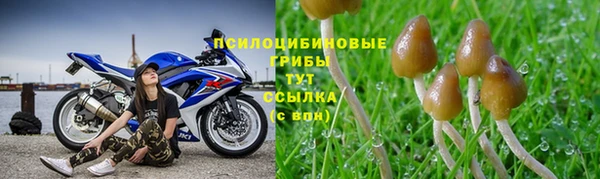 apvp Алексеевка