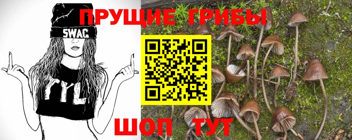 Псилоцибиновые грибы MAGIC MUSHROOMS  Галлюциногенные грибы GOLDEN TEACHER  Тамбов  Вход с VPN 