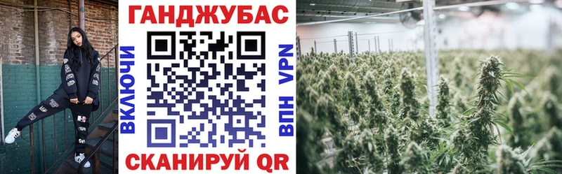 Шишки марихуана семена Тамбов